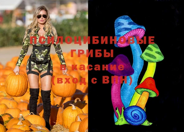 твердый Алзамай