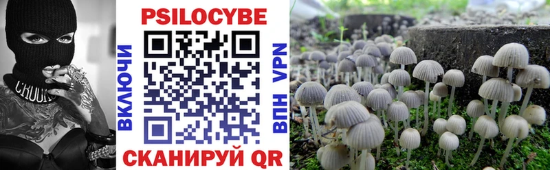 Псилоцибиновые грибы прущие грибы  Рошаль 